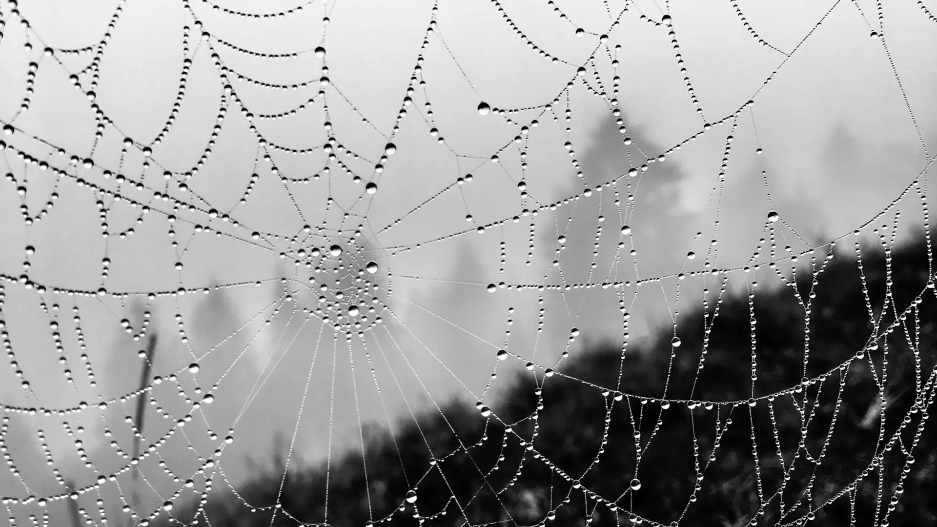 Anansi and the Rain Cloud