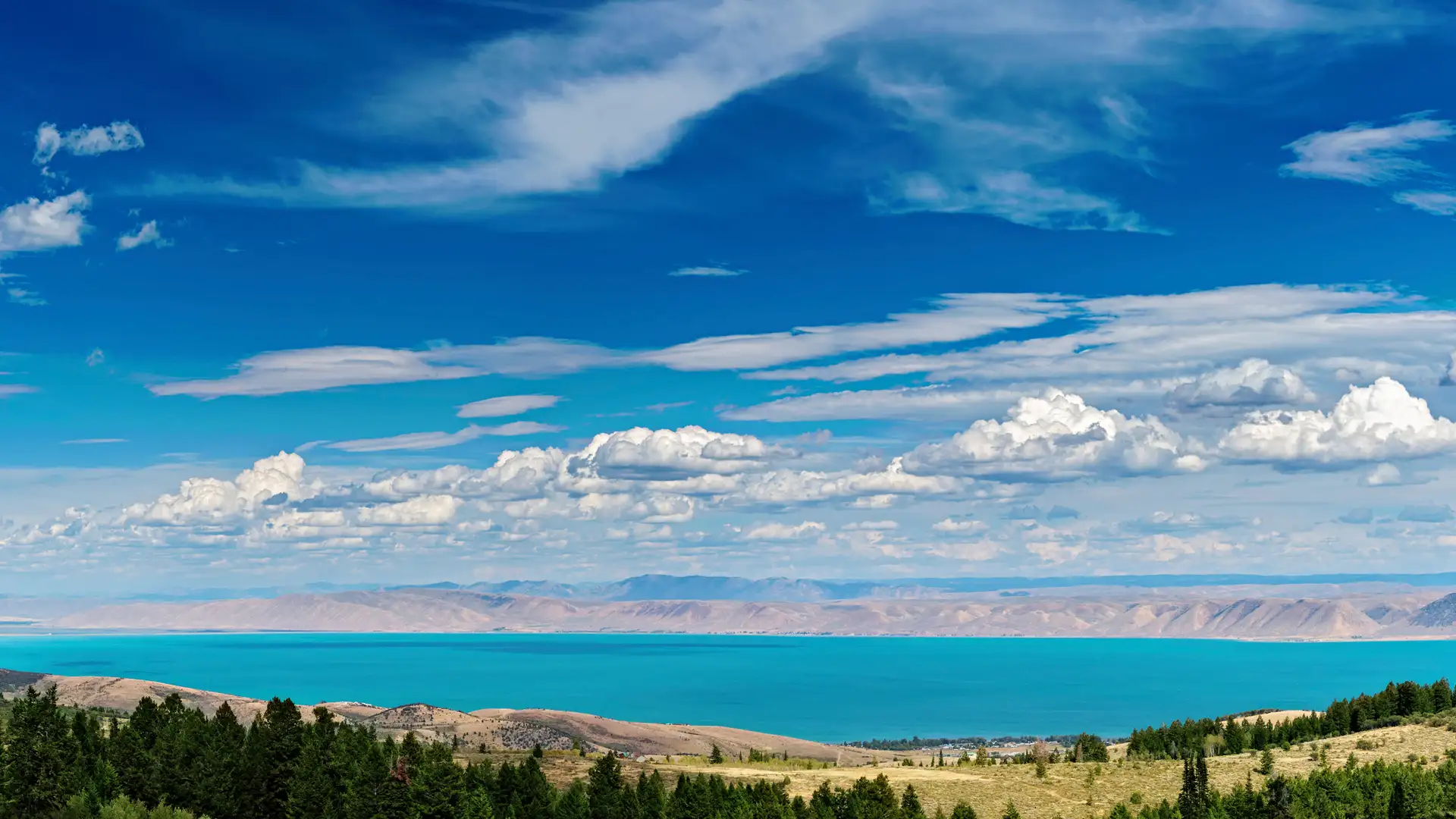 OUR FAMILY REUNION JUST ENDED