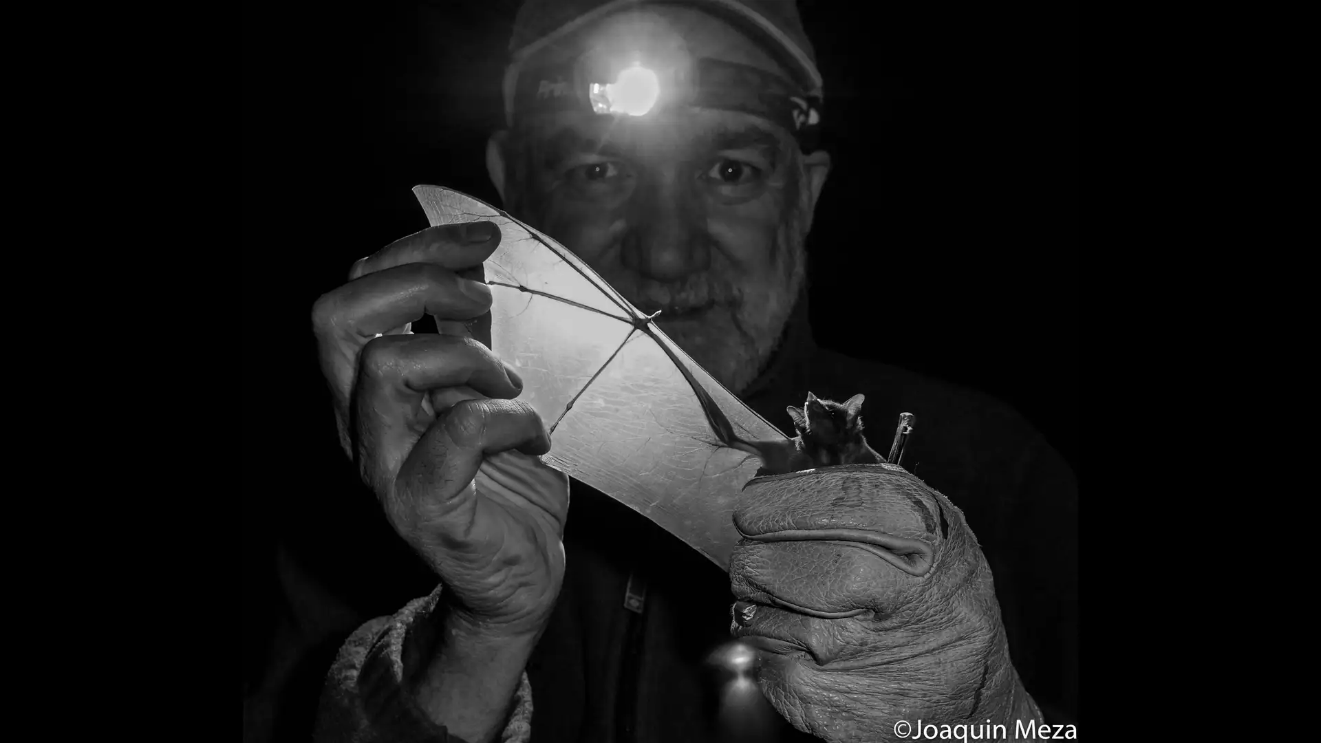 The Batman of Mexico (and the World!)