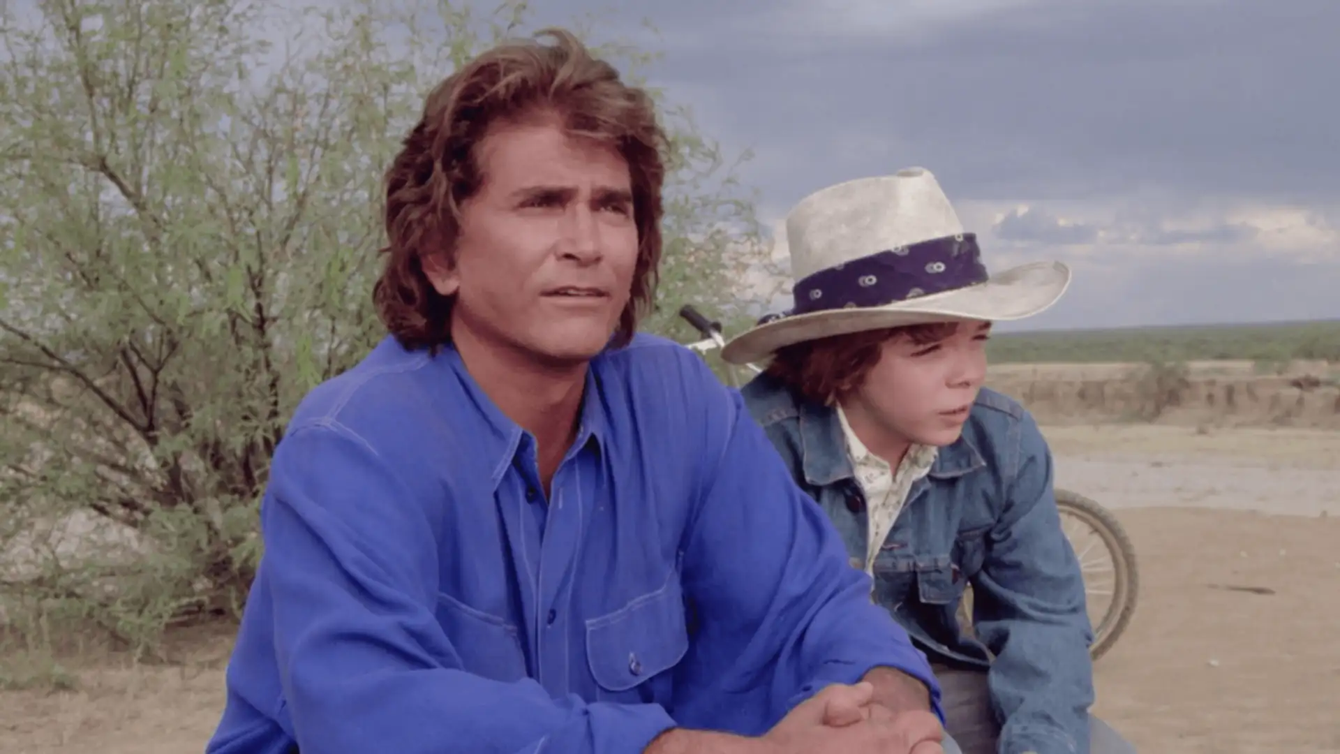 A Dream of Wild Horses