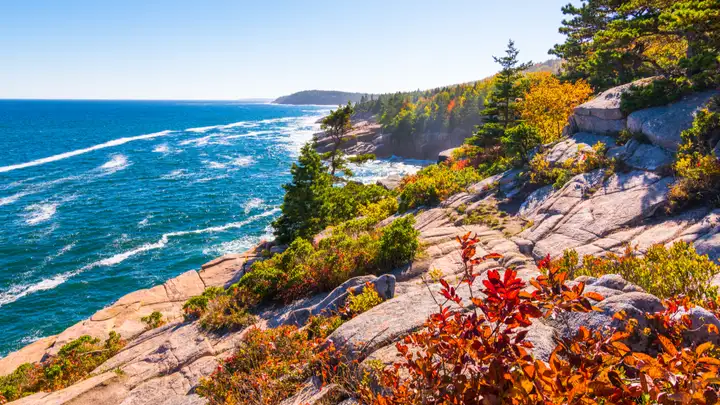 Learning ASL and Acadia National Park