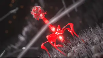 Phage Therapy