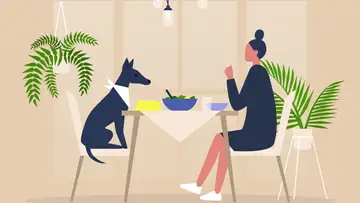 Petiquette 101