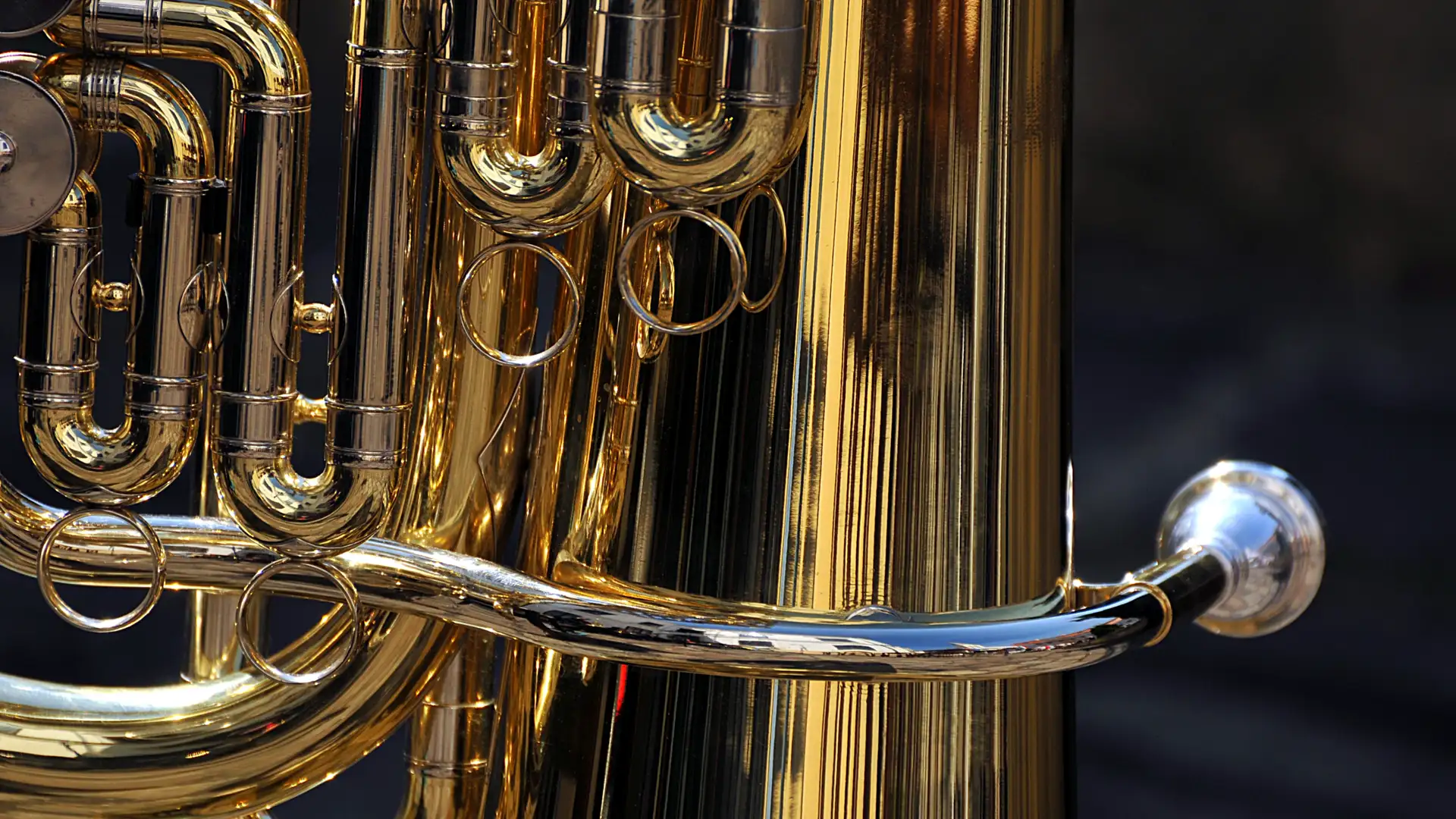 Christopher Holmes and Larry Gee