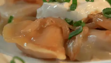 Holy Pierogy