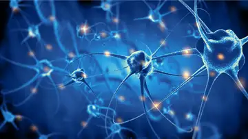 Neuroarchitecture