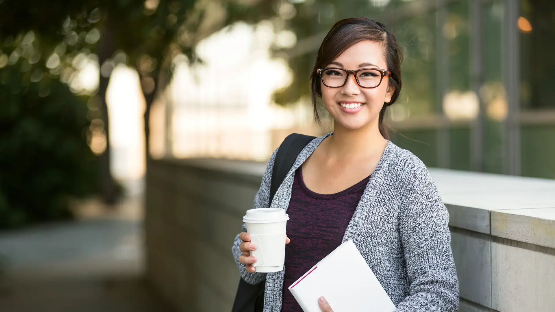 Asian American Paradox