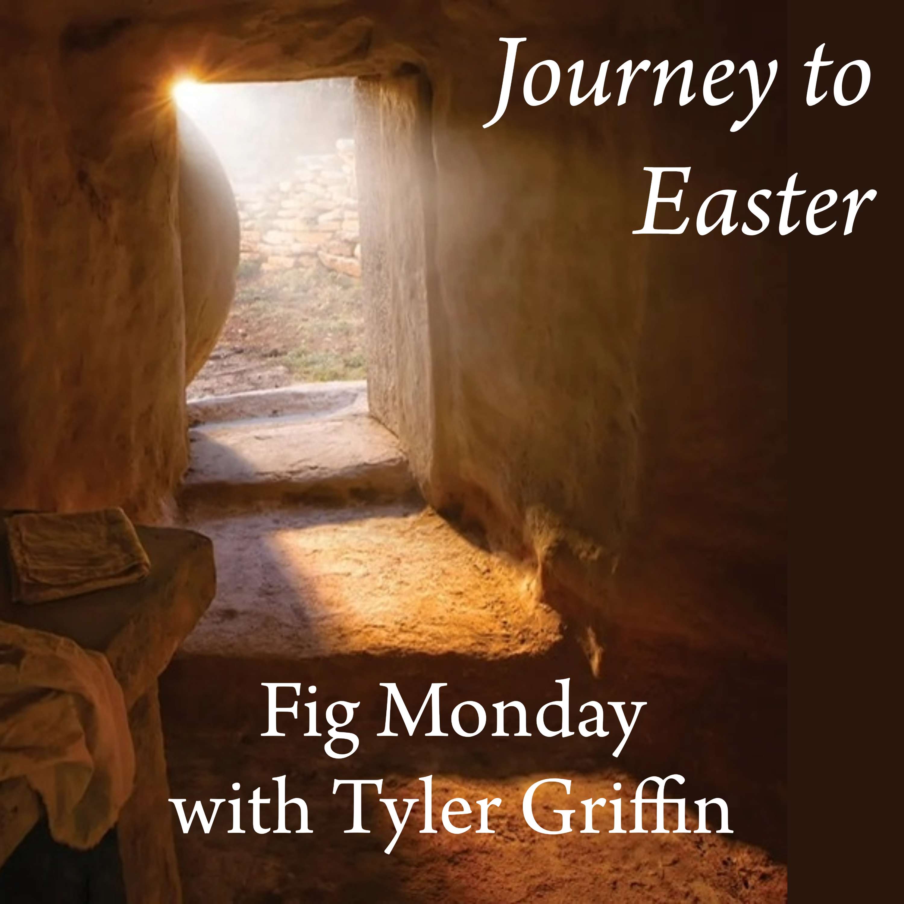 Fig Monday | Tyler Griffin