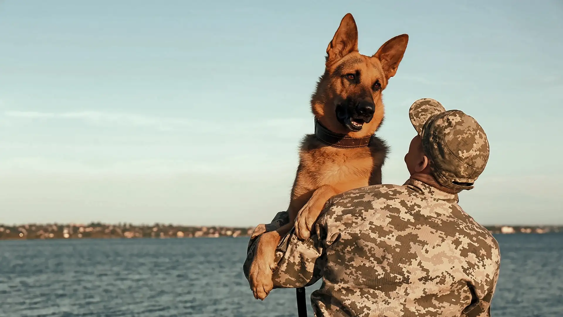 Responding Under Pressure, Supporting Vets, Wounded Warrior Project, K9s for Warriors, Trees for Troops