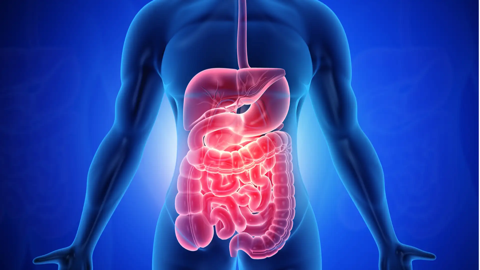 Bringing Back Helpful Gut Worms