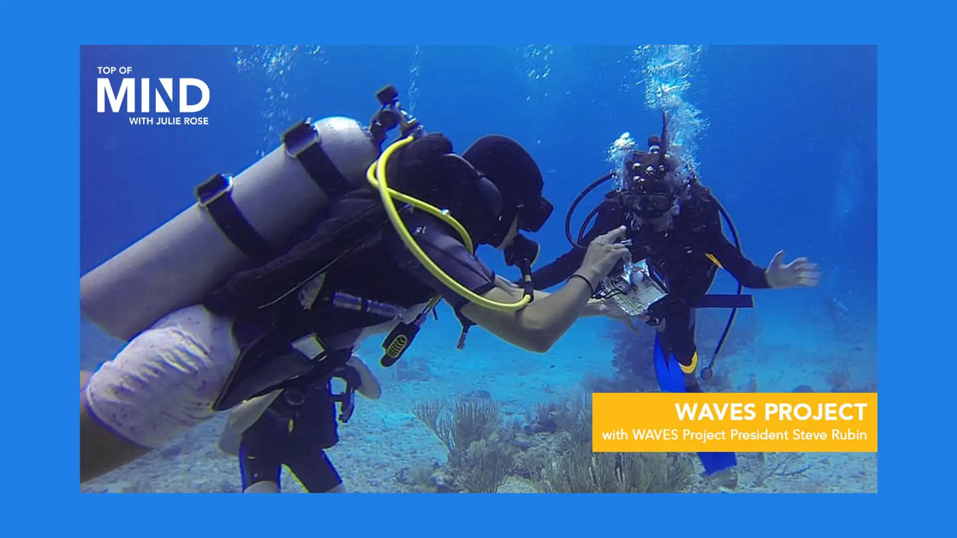 How You Say It, US Democracy, WAVES