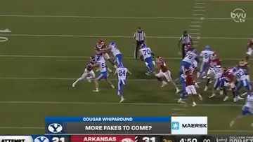 Cougar Whiparound 