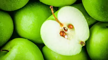 The Apple Seed