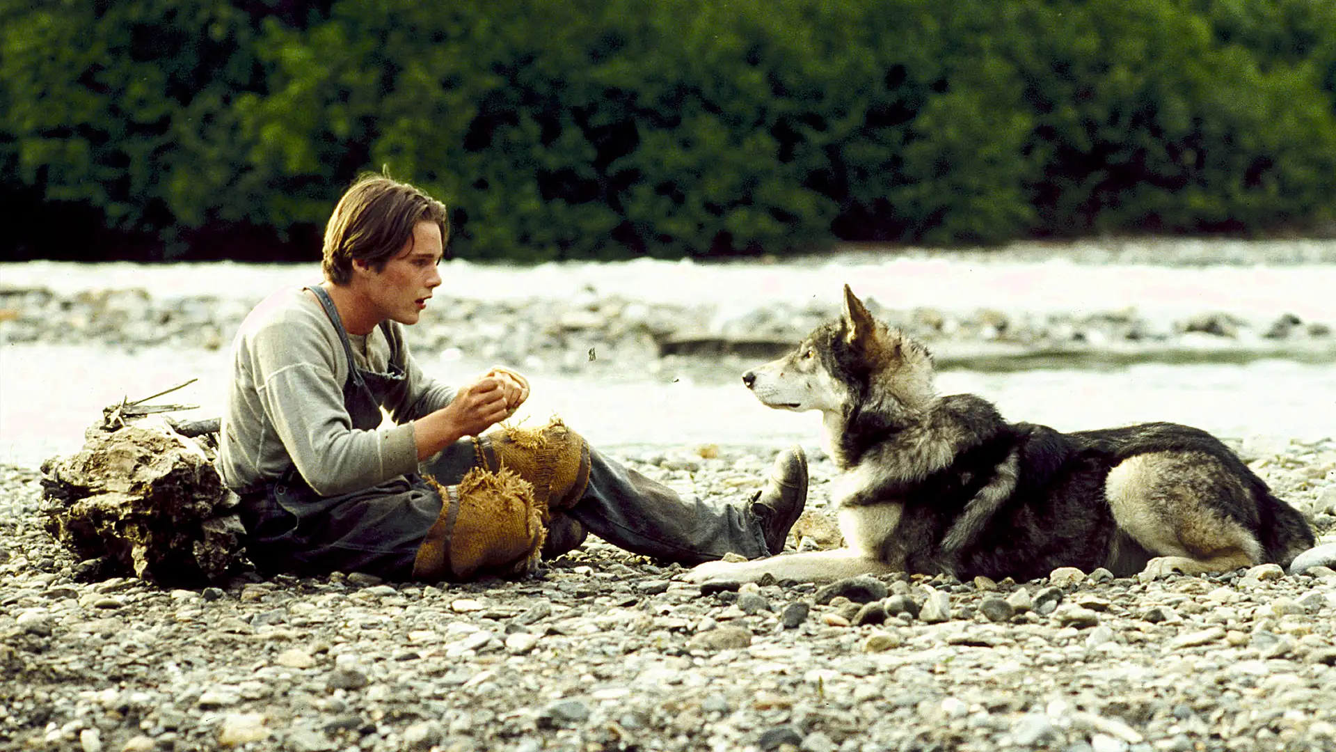 White Fang