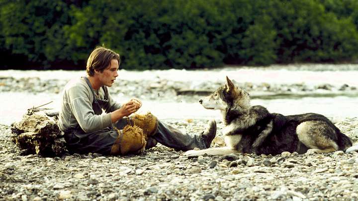 White Fang