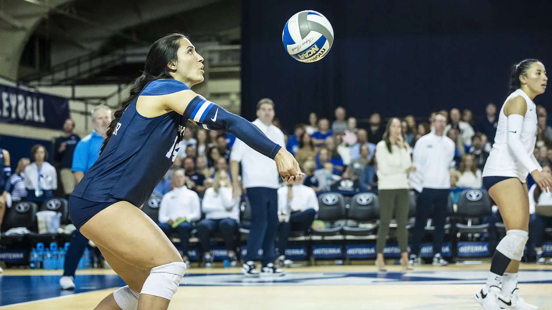 Aria McComber: A Cougar Changing Colors