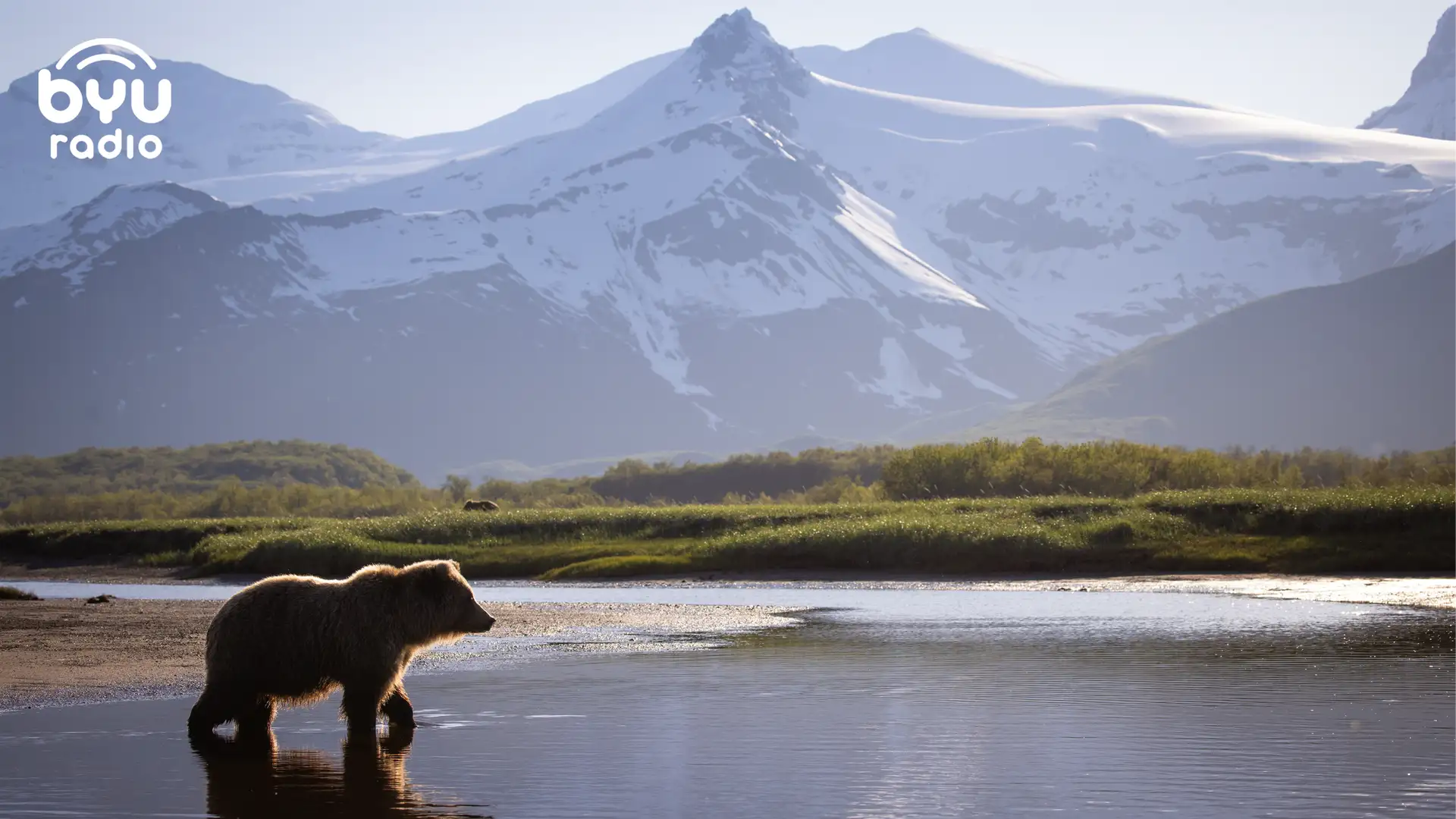 Arguing with the Wind: A Spiritual Journey in Wilderness