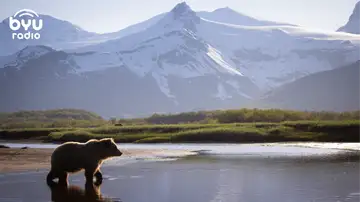 Arguing With the Wind: A Spiritual Journey in Wilderness