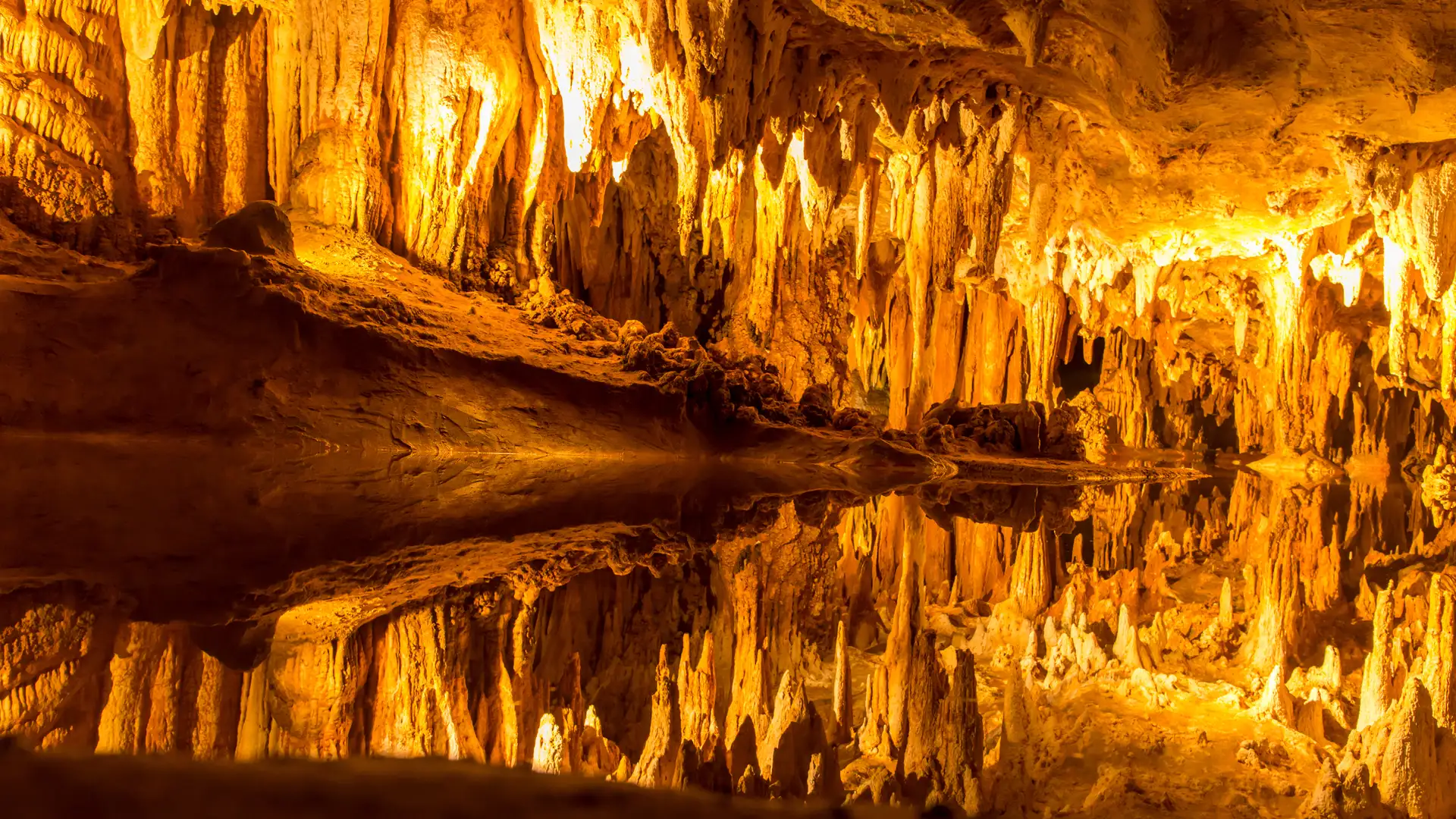 FEED DROP: Curator's Choice at Luray Caverns
