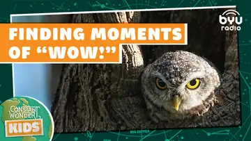 Finding Moments of “Wow!”