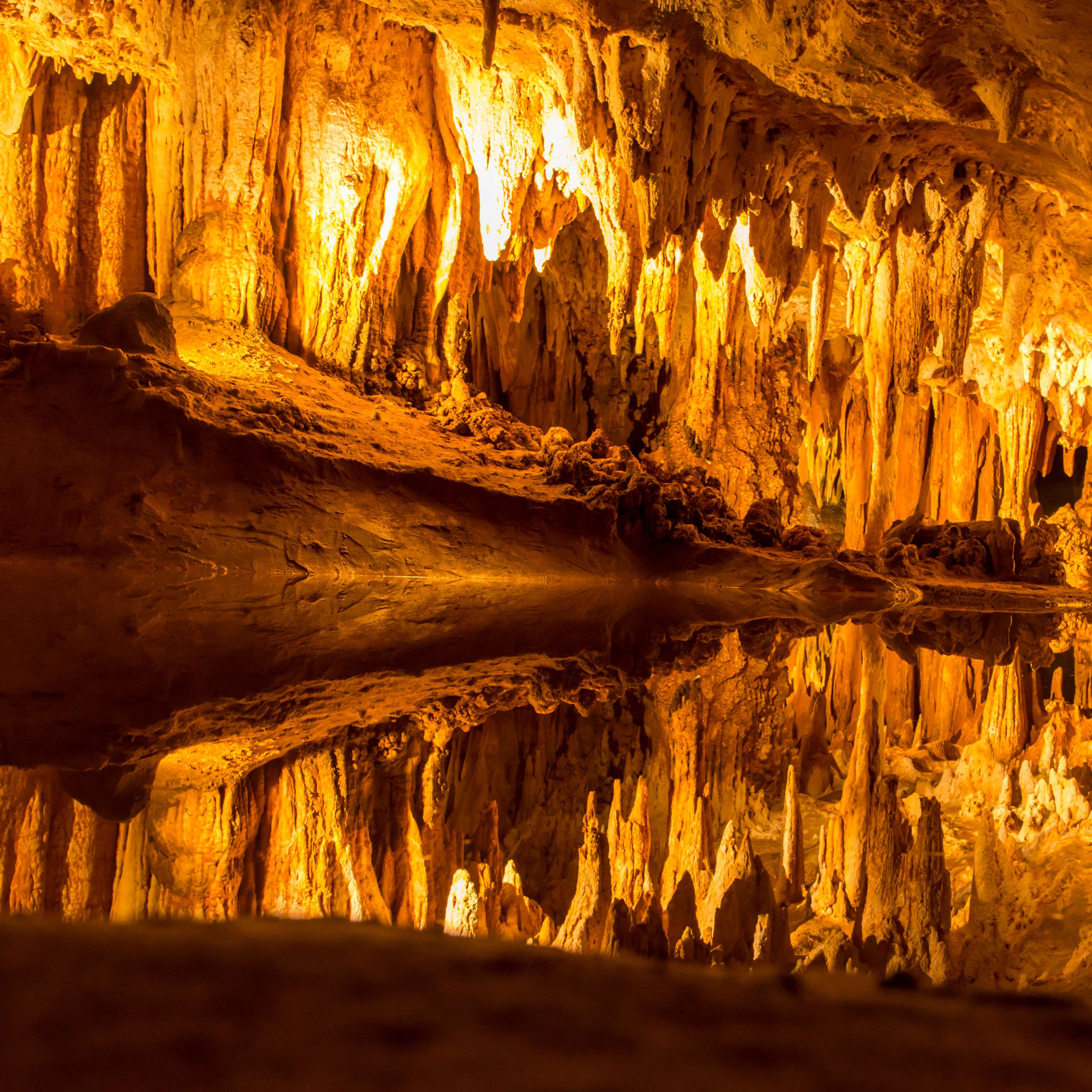 FEED DROP: Curator's Choice at Luray Caverns