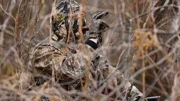 Duck Calling