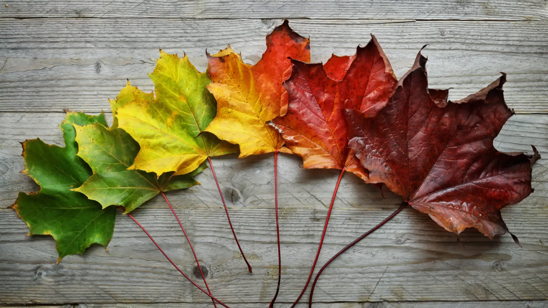 Unexpected Changes to Our Plans