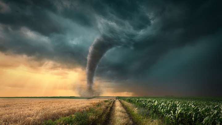 The Tornado and Mr. Snit