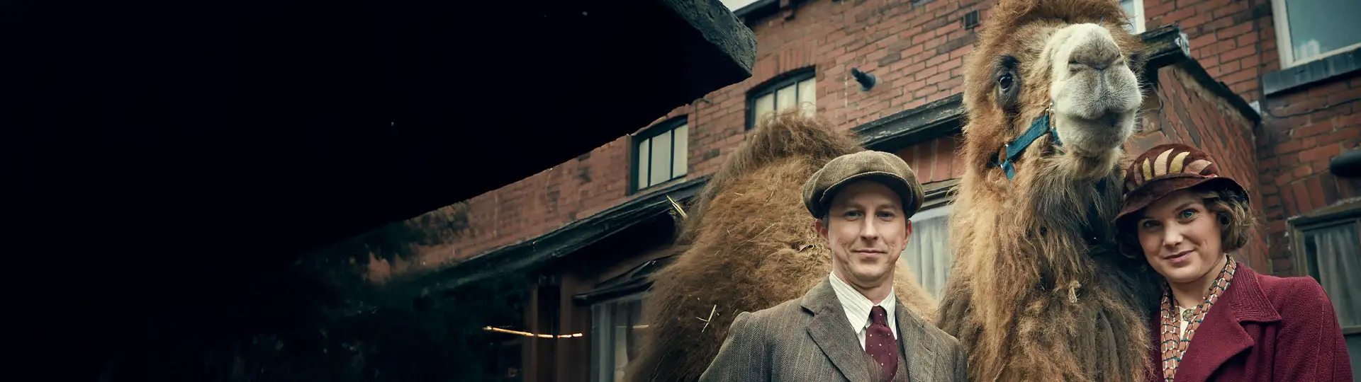 Where Dreams Run Wild