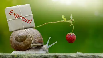 Snail Mail
