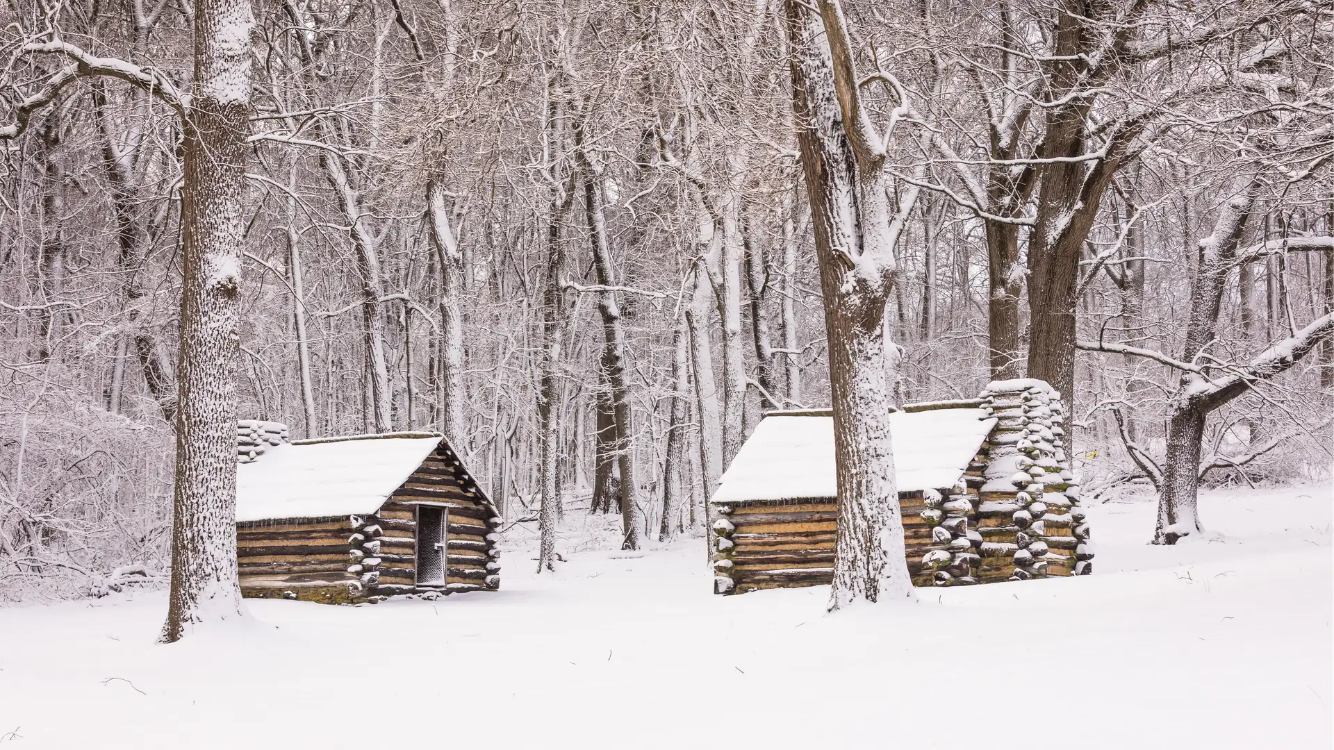 A Winter Worse Than Valley Forge