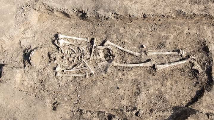 The Hidden Stories in Our Bones
