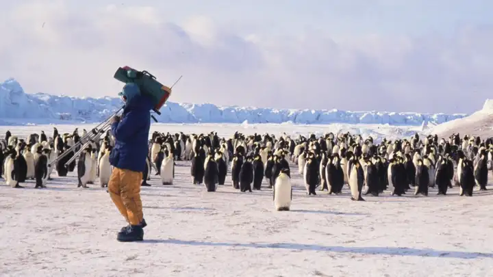 The Life of a Polar Filmmaker