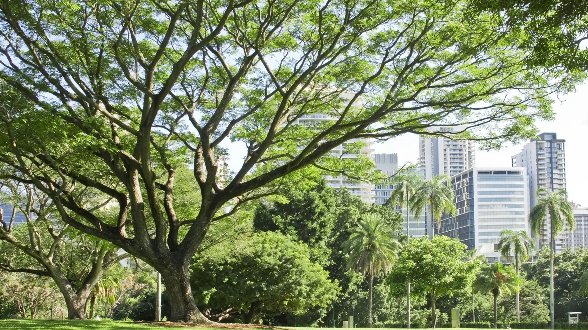 Software Designs Healthier, More Sustainable Cities