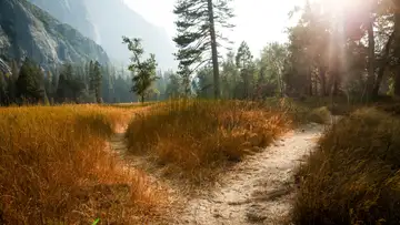 Discerning Spiritual Promptings and God's Will