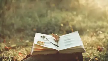Book Inspired by Folktale, Discovering Gems in Poetry