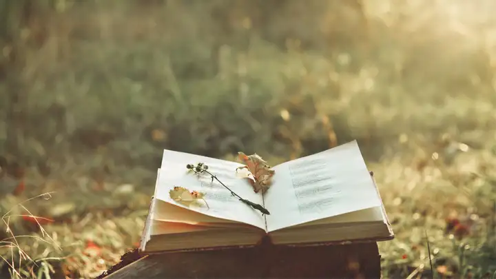 Poetry Readings