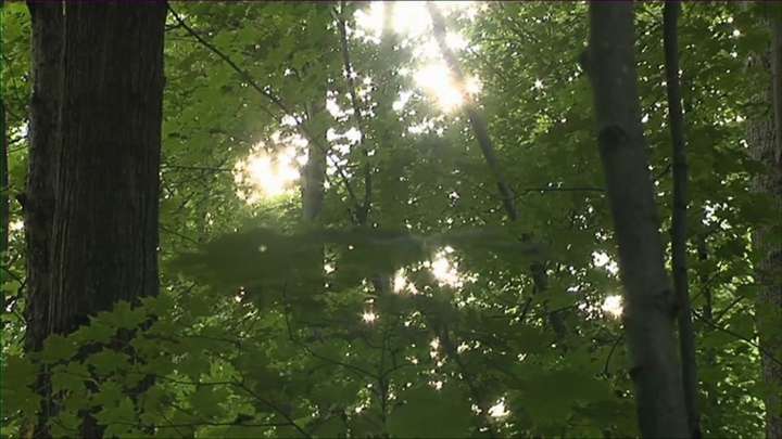 First Vision--Part 1