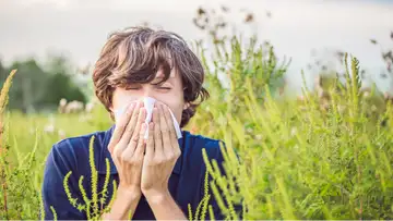 Pollen & COVID-19