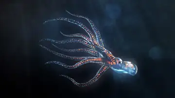 Creatures of the Deep
