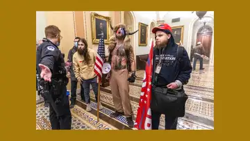 Domestic Terrorism