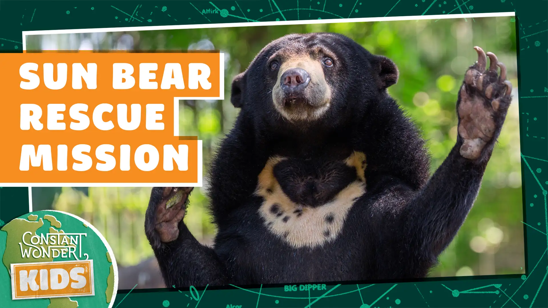 Sun Bear Rescue Mission