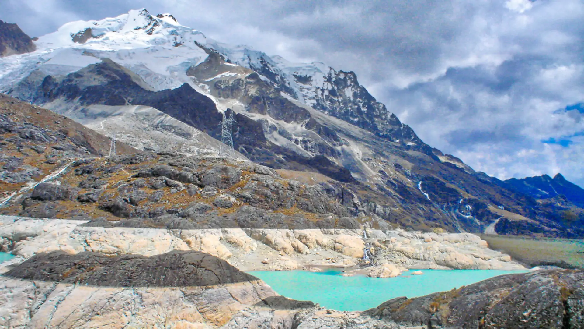 Wildlife of Bolivia’s Zongo Valley