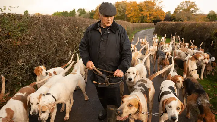 Around the World with Working Dogs