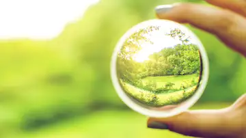 Reader's Theater: "Through the Looking Glass"