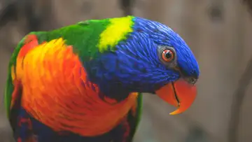 Evolution for Climate Change