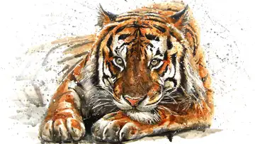 Uncle Rabbit and Uncle Tiger by Olga Loya