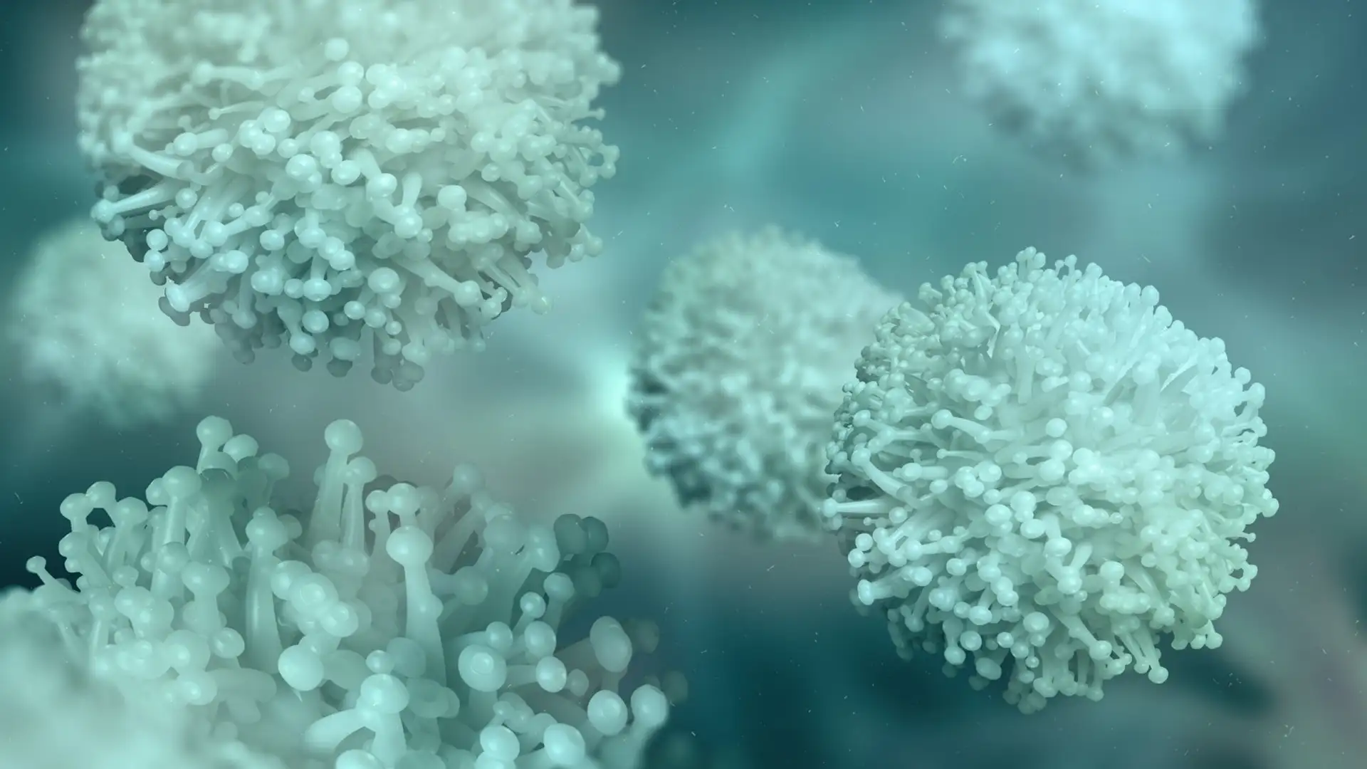 How to Be Okay With Germs After a Pandemic