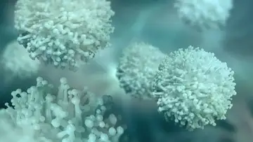 How to Be Okay With Germs After a Pandemic