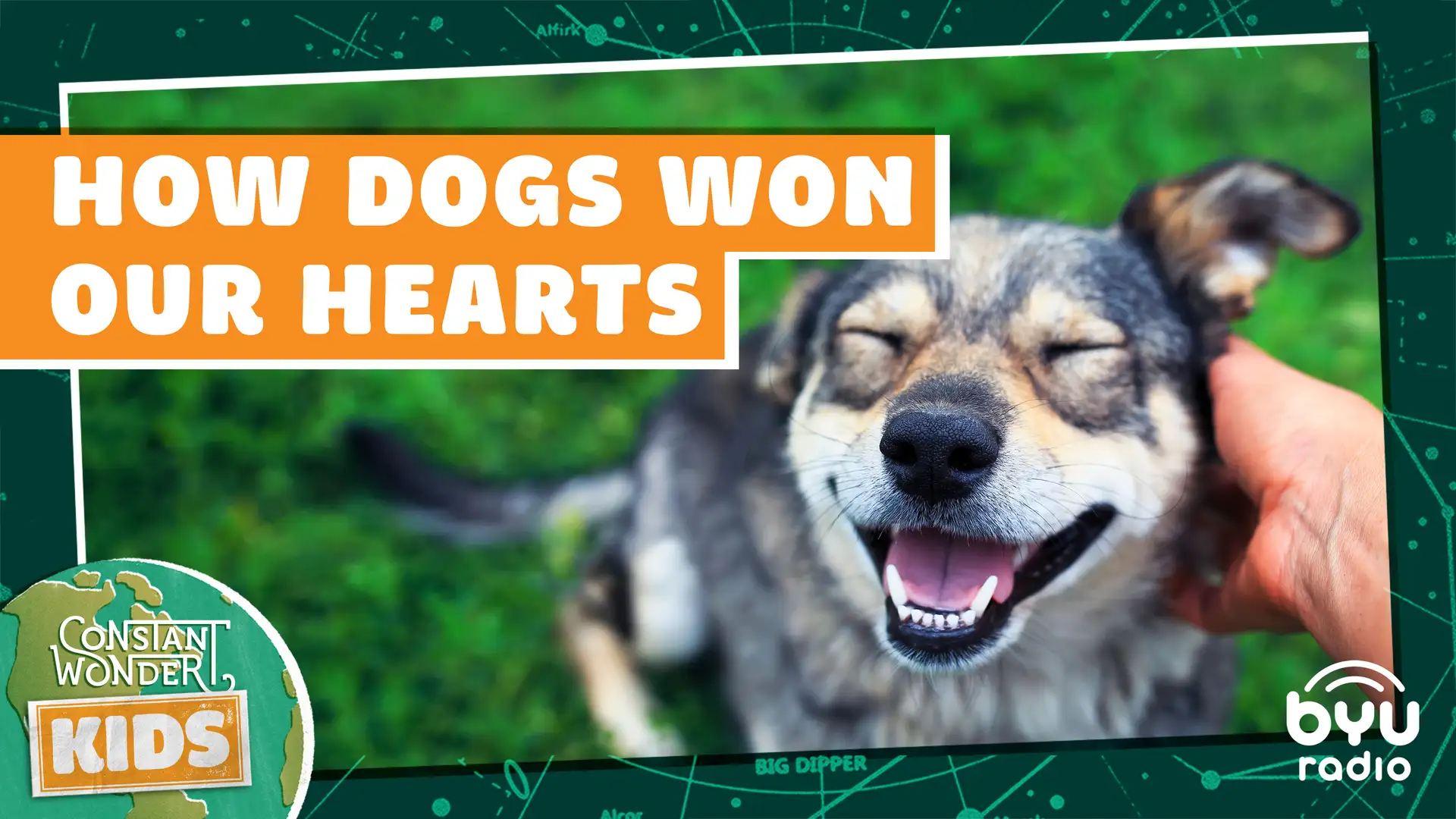 How Dogs Won Our Hearts